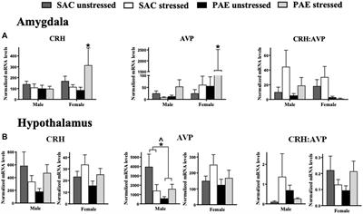 Prenatal alcohol exposure alters mRNA expression for stress peptides, glucocorticoid receptor function and immune factors in acutely stressed neonatal brain